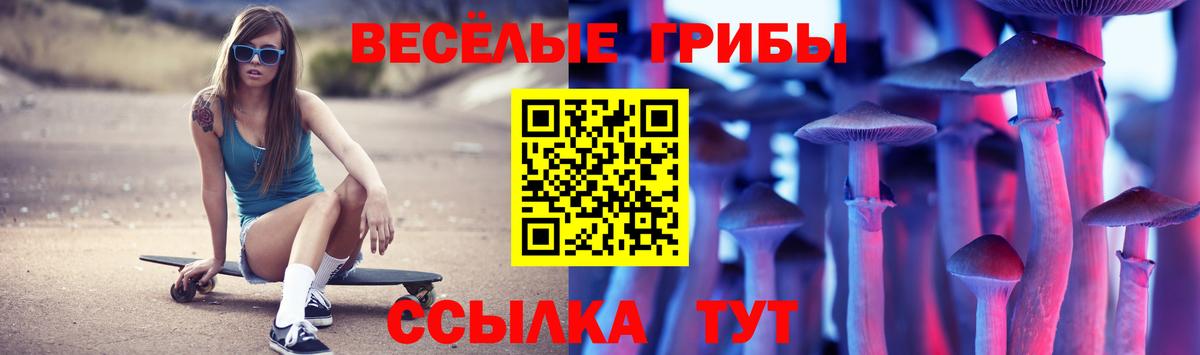 Галлюциногенные грибы Psilocybine cubensis  Вход с VPN  Галлюциногенные грибы MAGIC MUSHROOMS  Гурьевск 